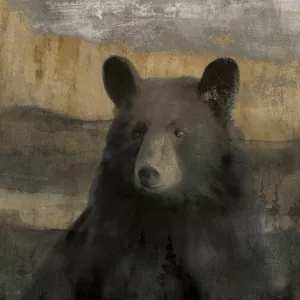 Forest Black Bear Oil Painting by Carol Robinson - Contemporary