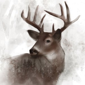 Forest Deer by Carol Robinson Oil Painting