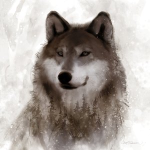 Forest Wolf by Carol Robinson Oil Painting