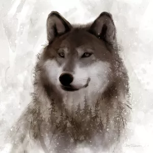 Forest Wolf by Carol Robinson Oil Painting
