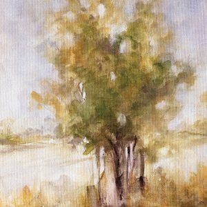 Gentle Groves I Oil painting by Carol Robinson
