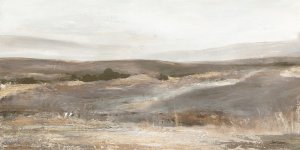 Hill Country by Carol Robinson Oil Painting