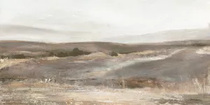 Hill Country Oil Painting by Carol Robinson - Contemporary