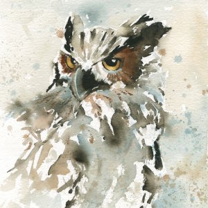 I Spy With My Owl's Eye by Carol Robinson Oil Painting