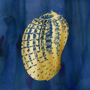 Indigo Sea Treasure VII by Carol Robinson Oil Painting