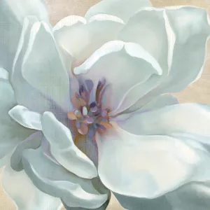 Iridescent Bloom I by Carol Robinson Oil Painting