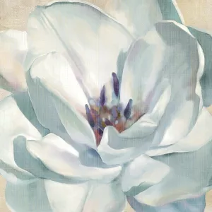 Iridescent Bloom II by Carol Robinson Oil Painting