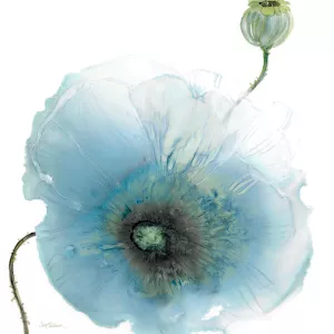 Iridescent Blue Poppy I by Carol Robinson Oil Painting