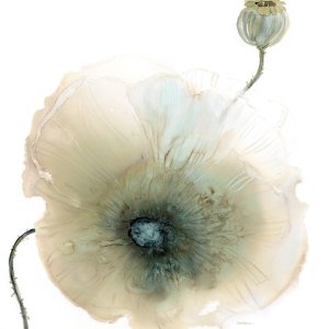 Iridescent Poppy I by Carol Robinson Oil Painting