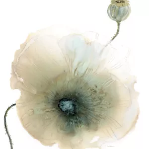Iridescent Poppy I by Carol Robinson Oil Painting