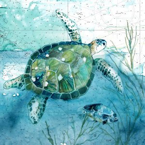 Island Swim I by Carol Robinson Oil Painting