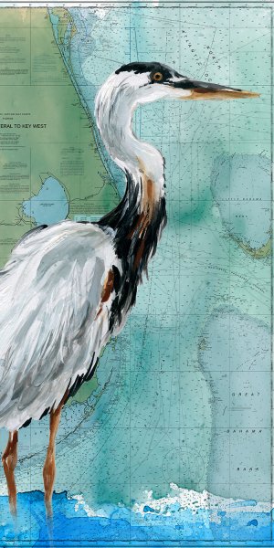 Key West Crane by Carol Robinson Oil Painting