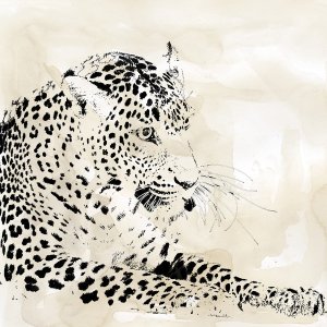 Leopard Spots I by Carol Robinson Oil Painting
