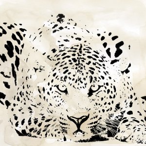 Leopard Spots III by Carol Robinson Oil Painting