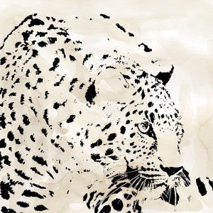 Leopard Spots IV by Carol Robinson Oil Painting
