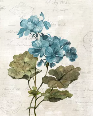Linen Geranium by Carol Robinson Oil Painting