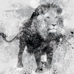 Lion by Carol Robinson Oil Painting
