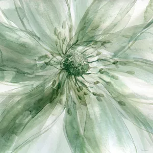 Macro Sage Flower I by Carol Robinson Oil Painting