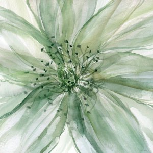 Macro Sage Flower II by Carol Robinson Oil Painting