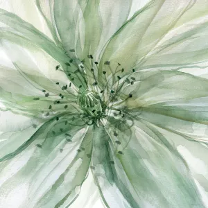 Macro Sage Flower II by Carol Robinson Oil Painting