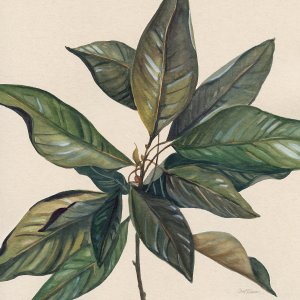 Magnolia Leaves I by Carol Robinson Oil Painting