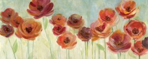 Meadow Poppies Oil painting by Carol Robinson