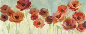 Meadow Poppies by Carol Robinson Oil Painting
