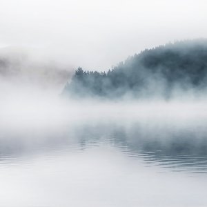 Misty Lake by Carol Robinson Oil Painting