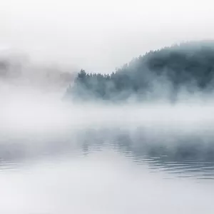Misty Lake by Carol Robinson Oil Painting