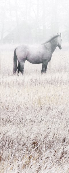 No Frame Rolled Canvas