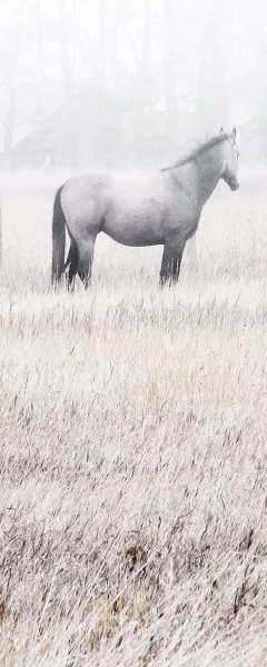 Misty Pasture I by Carol Robinson Oil Painting