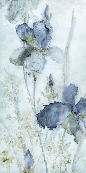 Morning Iris by Carol Robinson Oil Painting