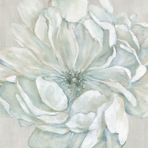 Morning Petals I by Carol Robinson Oil Painting