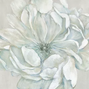 Morning Petals I by Carol Robinson Oil Painting
