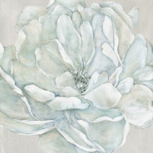 Morning Petals II by Carol Robinson Oil Painting