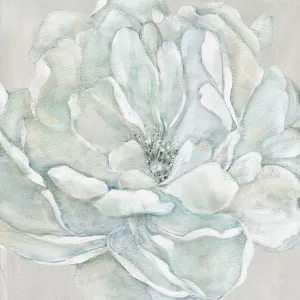 Morning Petals II by Carol Robinson Oil Painting