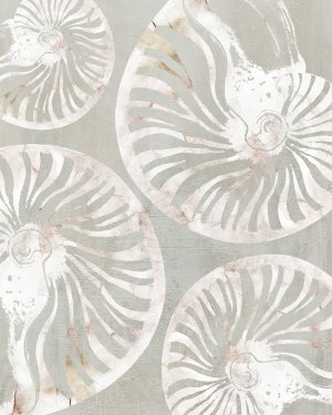 Nautilus Shell Collection by Carol Robinson Oil Painting