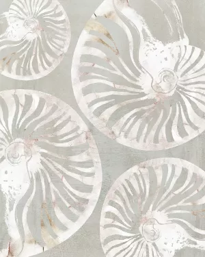 Nautilus Shell Collection by Carol Robinson Oil Painting