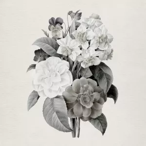Neutral Botanical Camelias by Carol Robinson Oil Painting