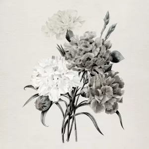 Neutral Botanical Carnations by Carol Robinson Oil Painting