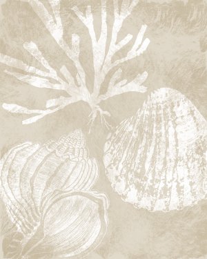 Neutral Coral I by Carol Robinson Oil Painting