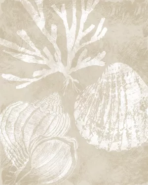 Neutral Coral I Oil Painting by Carol Robinson - Contemporary