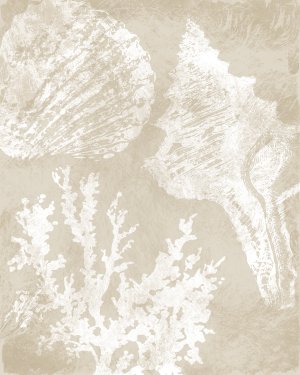 Neutral Coral II by Carol Robinson Oil Painting