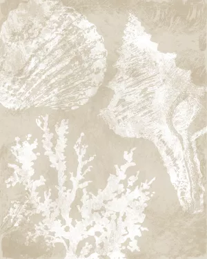 Neutral Coral II Oil Painting by Carol Robinson - Contemporary