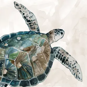 Neutral Sea Turtle I Oil Painting by Carol Robinson - Contemporary