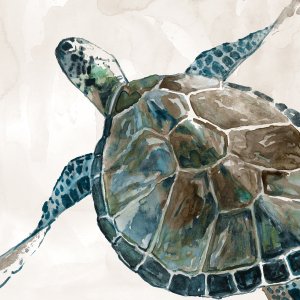 Neutral Sea Turtle II by Carol Robinson Oil Painting