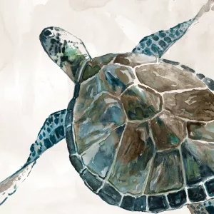 Neutral Sea Turtle II Oil Painting by Carol Robinson - Contemporary
