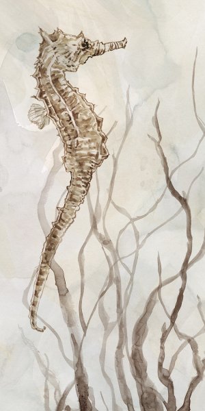 Neutral Seahorse I by Carol Robinson Oil Painting