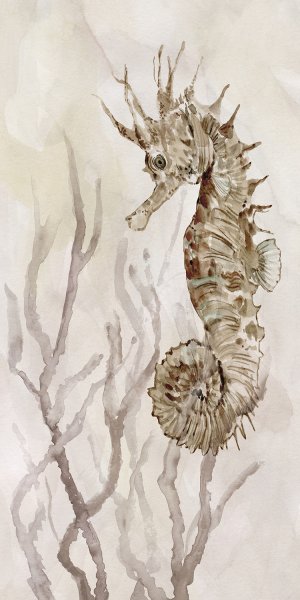 Neutral Seahorse II by Carol Robinson Oil Painting