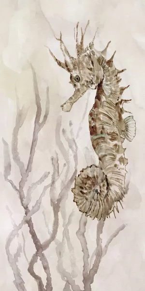 Neutral Seahorse II Oil Painting by Carol Robinson - Bestsellers